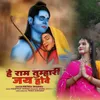 About He Ram Tumhari Jai Hove Song