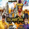 About Shiv Mhalari Bhairava Song