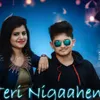 About Teri Nigahen Song