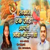 About Lakhat Ek Jodi Aapli Bhava Bahinichi Song