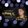 About Bhuligalu Tu Song