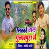 About Sikko Chal Gulabpura Me Song