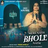 About Mere Nath Bhole Nath Song