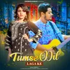 About Tumse Dil Laga Ke Song