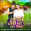 About Devar Sala Dhodi Par Dhan Ropta Song