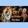 About Hare Krishna Hare Rama 3 Song
