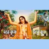 About Hare Krishna Hare Rama 1 Song