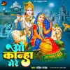 About O Kanha Mere Song