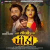 About Tame Chodi Rahya Pithi Song