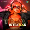 About Tera Intezaar Song