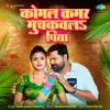 About Komal Kamar Muchkawla Piya Song