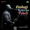 About Zindagi Kaisi Hai Paheli - Unplugged Song