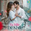 About Tu Mile Dil Khile Song