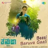 About Beesi Baruva Gaali Song