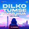 About Dilko Tumse Pyar Hua - Lofi Reverb Song