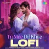 About Tu Mile Dil Khile - Lofi Song