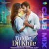 About Tu Mile Dil Khile - Club Mix Song