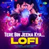 About Tere Bin Jeena Kya - Lofi Song