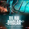 About Dil Hai Bholaa Song