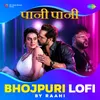 About Paani Paani - Bhojpuri LoFi Song