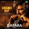About Cricket Rap Song