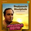 About Baglyanchi Maalphule - Jhankar Beats Song