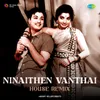 About Ninaithen Vanthai - House Remix Song