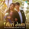 About Meri Jaan Song
