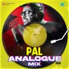 Pal Analogue Mix