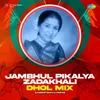 About Jambhul Pikalya Zadakhali - Dhol Mix Song