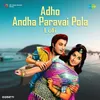 About Adho Andha Paravai Pola - Lofi Song