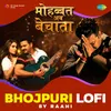 About Mohabbat Ab Bechata LoFi Song