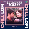 About Gulmuhar Malare - Chill Lofi Song