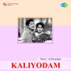 About Kaalathin Kalpadavukalil (Kaamuki Njaan) Song