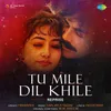 About Tu Mile Dil Khile - Reprise Song
