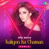 About Kaliyon Ka Chaman - Remix Song