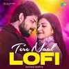 About Tere Naal - Lofi Song