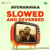 About Avunanavaa - Slowed And Reverbed Song