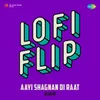 Aayi Shagnan Di Raat LoFi Flip