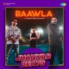 About Baawla - Jhankar Beats Song