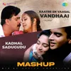 About Kadhal Sadugudu X Kaatre En Vaasal Vandhaai - Mashup Song