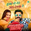 About Hum Toh Tere Aashiq Hain - Jhankar Beats Song