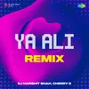 About Ya Ali Remix Song