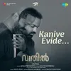About Kanive Evide (From "Vaathil") Song