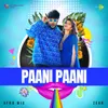 About Paani Paani - Afro Mix Song
