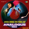 About Javeda Zindagi-Tose Naina Lage - Analogue Mix Song