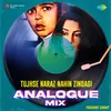 About Tujhse Naraz Nahin Zindagi - Analogue Mix Song