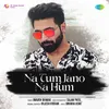 About Na Tum Jano Na Hum Song