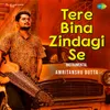 About Tere Bina Zindagi Se - Instrumental Song