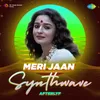 About Meri Jaan - Synthwave Song